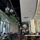 코코애견클럽 이미지