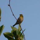 땅끝풍경펜션 이미지