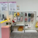 강아지를 미용하는 여자 이미지