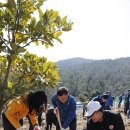 백동무궁화동산 이미지