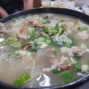 동강오리촌 이미지