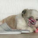 오림2길 이미지