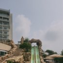스플라스리솜 이미지