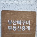 2호선공인중개사사무소 이미지
