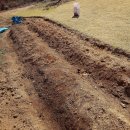 금호농자재 | 분변토 SM유통 토리팜 지렁이분변토 좋네요