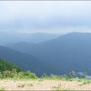 펀치볼민박 이미지