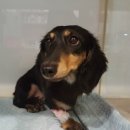 구피동물병원 이미지