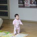 소연데코