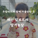 대한농장 | [주말 아이와 함께 가볼만한 곳] 예산 &#39;달보드레 딸기농장&#39; 솔직 후기