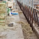 여의축산 이미지