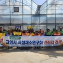 선진농장 웹이코노미