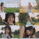 허니비(honeybee) 이미지