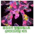 아이와 후쿠오카여행: 후쿠오카 팀랩 포레스트 전시회 :산리오 드리밍파크 : 보스 이조 후쿠오카 :예약...