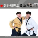 힘찬태비태권도장 이미지