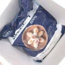 입이 심심할 땐 소떡소떡 "무궁화푸드" 한입소떡 후기 🍡