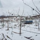 행선농장 이미지