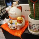 코바코 부천 옥길점 이미지