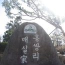 심씨농원 이미지