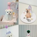 도그투케이크 이미지