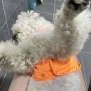 뭉구놀이터
