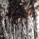 은기농장 이미지