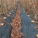 목골농장 이미지