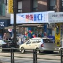 성남바다 | 성남횟집 활어바다 동네에 새로 생긴 신상 맛집 방문 후기 (ft. 감성돔 서더리탕 안주물회)