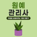 실내식물관리사 2급 자격증 과정 네이버블로그