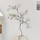 크로키아 이미지