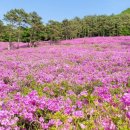 수만리 생태숲공원 이미지