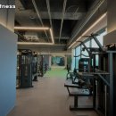 짐승Fitness 이미지