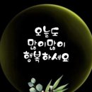 2024.11.17 금정산,범어사단풍,대성암,금강앞,고당봉,산신각,전망대,북문,산성마을,노포5일장 이미지