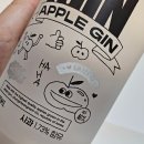 [미니썬후기] 아이긴 IGIN 애플 진 | 술 좋아하는 아미의 후기