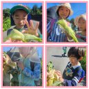 (8월17일 후기) 시골마을이 주는 선물 ♥ 이미지