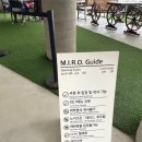 엠아이알오(MIRO) 이미지
