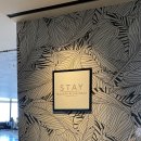 스테이(STAY) 이미지