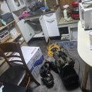 동일청과 - 목포시 목포진길 28 | 동일청과
