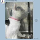 24시 창원2차동물의료원 이미지