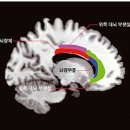 도대상회