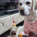 뚜드림 수원점 이미지