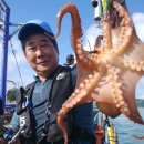 나라3호 이미지