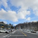 소백산가는길민박 | 소백산 죽령코스 후기｜대피소있고 등산 초보·아이 동반도 가능한 제2연화봉