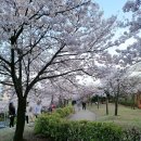 신석체육공원 입구 이미지