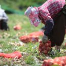 요셉농장 이미지