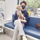 탑케어동물의료원 이미지