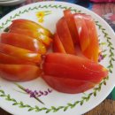 여수엔 호스텔 이미지