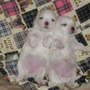 하늘마루2 이미지