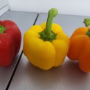 명문농장 이미지