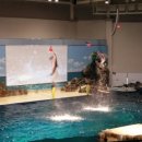 오션 아레나 이미지