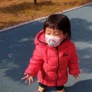 고래들공원 이미지